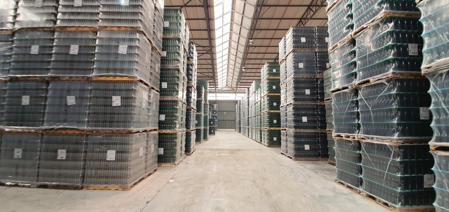 To Let commercial Property for Rent in Parow Industrial Western Cape